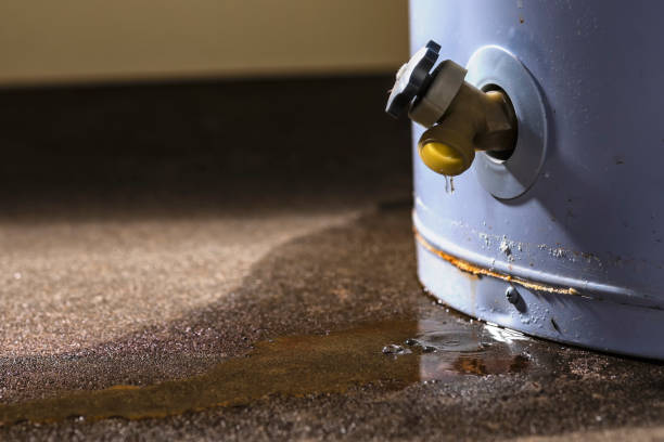 Best 24-hour water damage restoration  in Ortonville, MN