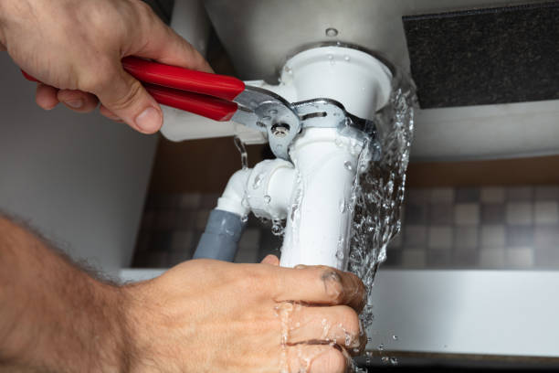 Best Water damage cleanup near me  in Ortonville, MN