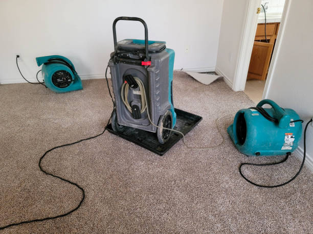 Best Water damage repair service  in Ortonville, MN