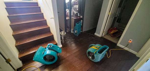 Best Flood restoration services  in Ortonville, MN