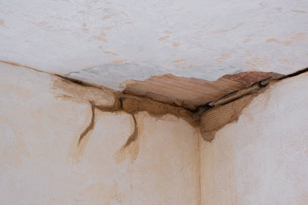 Best Basement water damage restoration  in Ortonville, MN