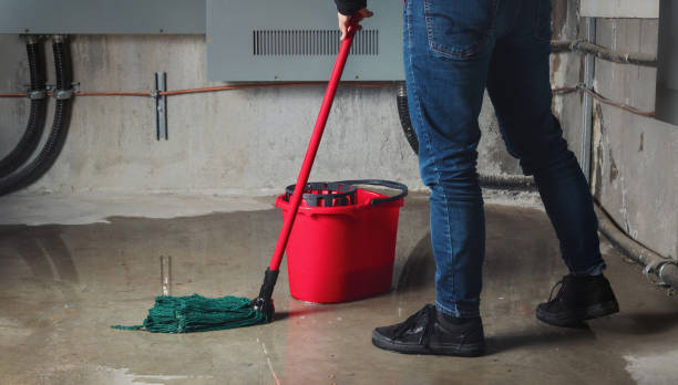 Best Professional water damage repair  in Ortonville, MN