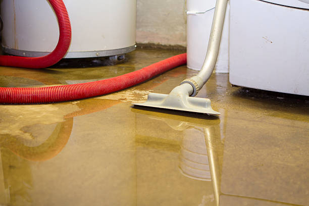 Best 24/7 water damage repair  in Ortonville, MN