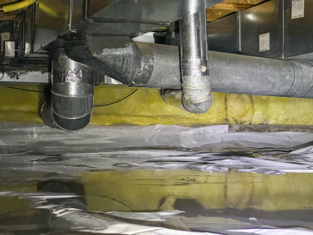 Best Water damage cleanup near me  in Ortonville, MN