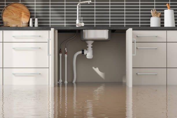 Best Flood restoration services  in Ortonville, MN
