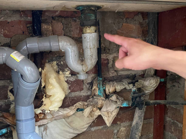 Best Mold removal after water damage  in Ortonville, MN