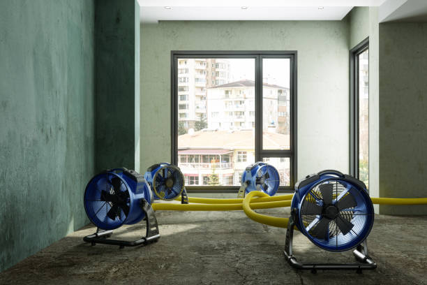 Best Emergency water damage restoration  in Ortonville, MN