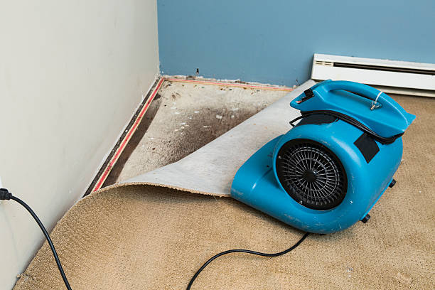 Best Fire Damage Restoration  in Ortonville, MN